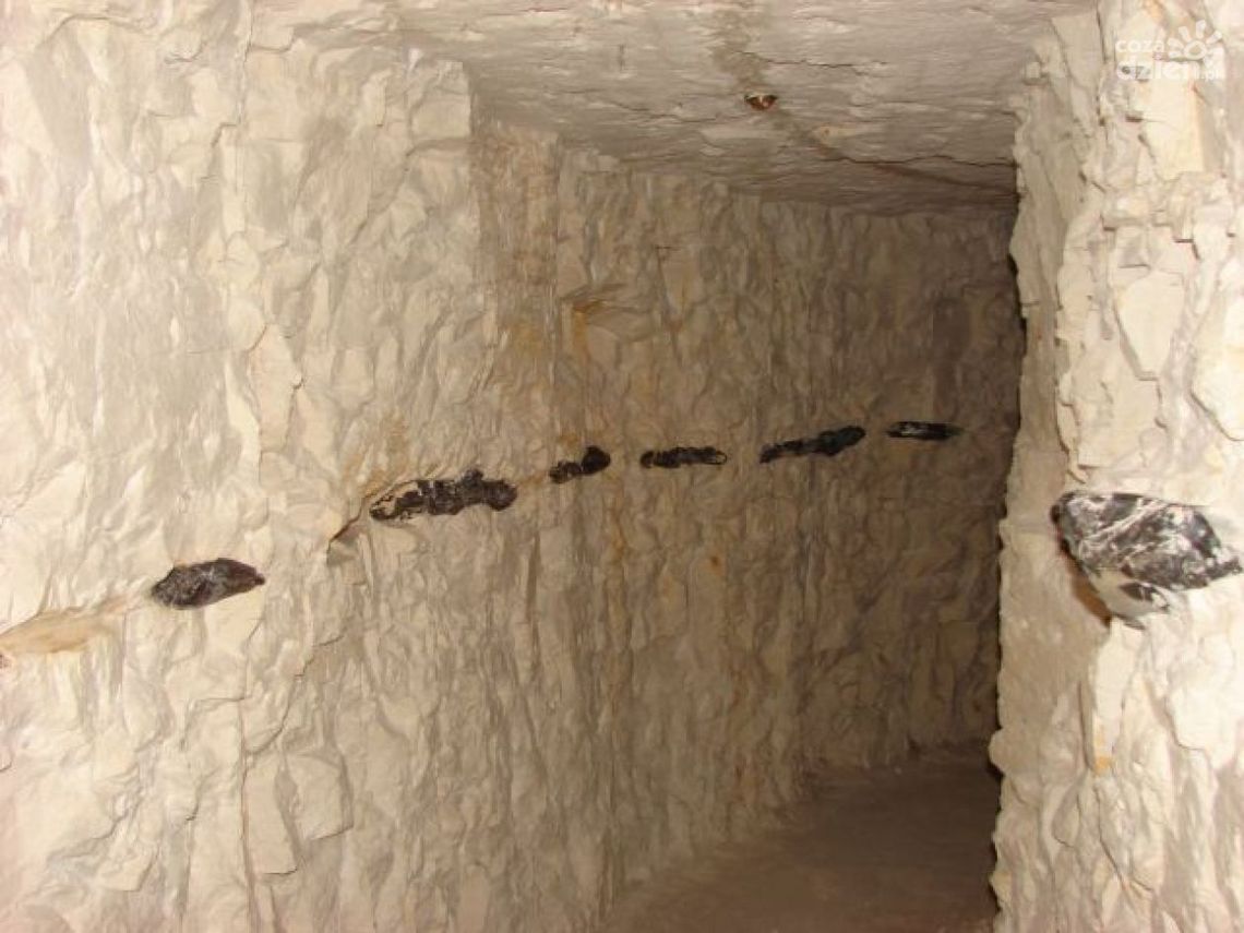 Podziemna trasa turystyczna na Krzemionkach zamknięta