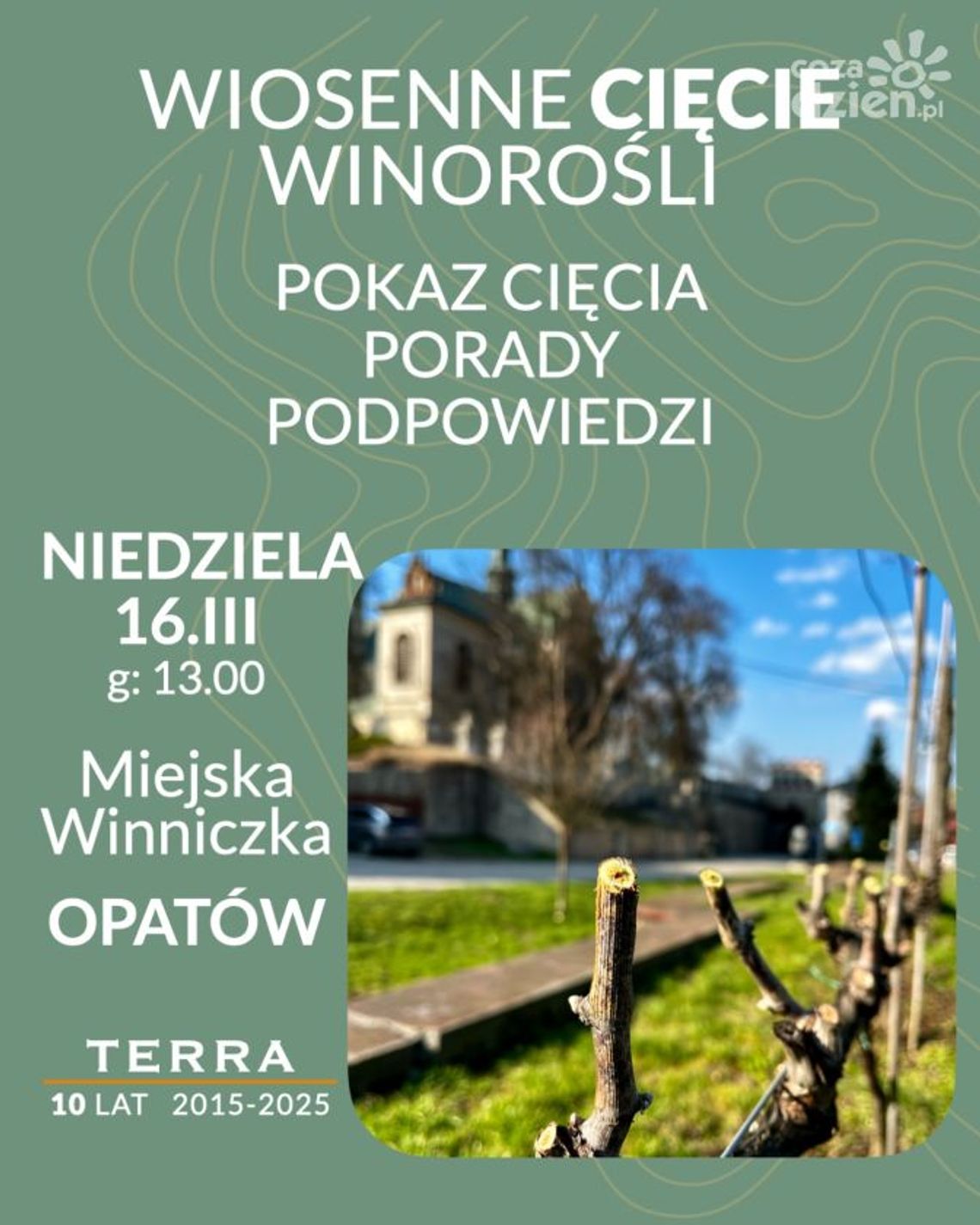 Pokaz cięcia krzewów i porady dla uprawiających winorośl Pokaz cięcia krzewów i porady dla uprawiających winorośl