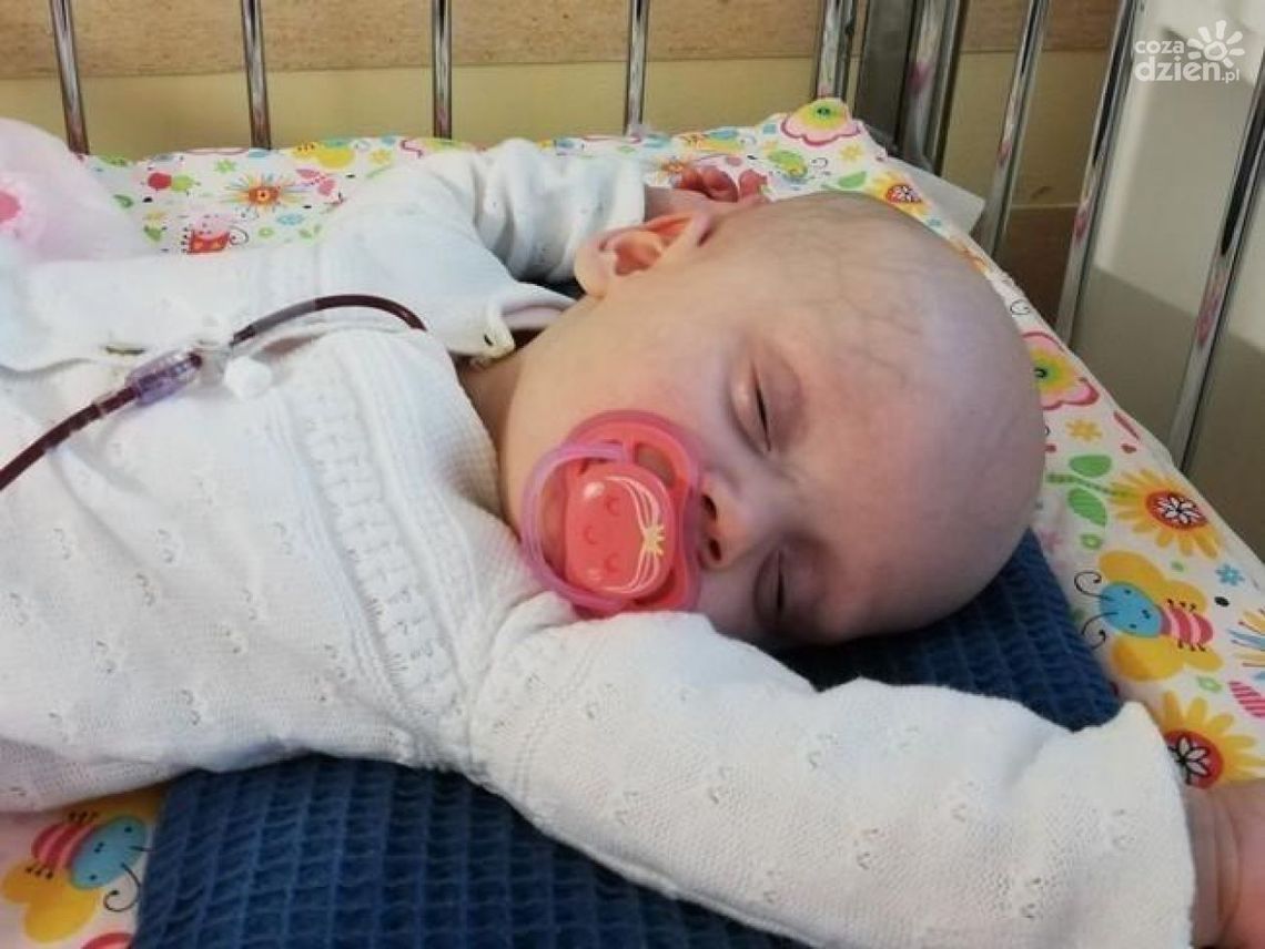 Pół miliona za życie Gai! Czasu jest niewiele... Pomóżmy! Pół miliona za życie Gai! Czasu jest niewiele... Pomóżmy!