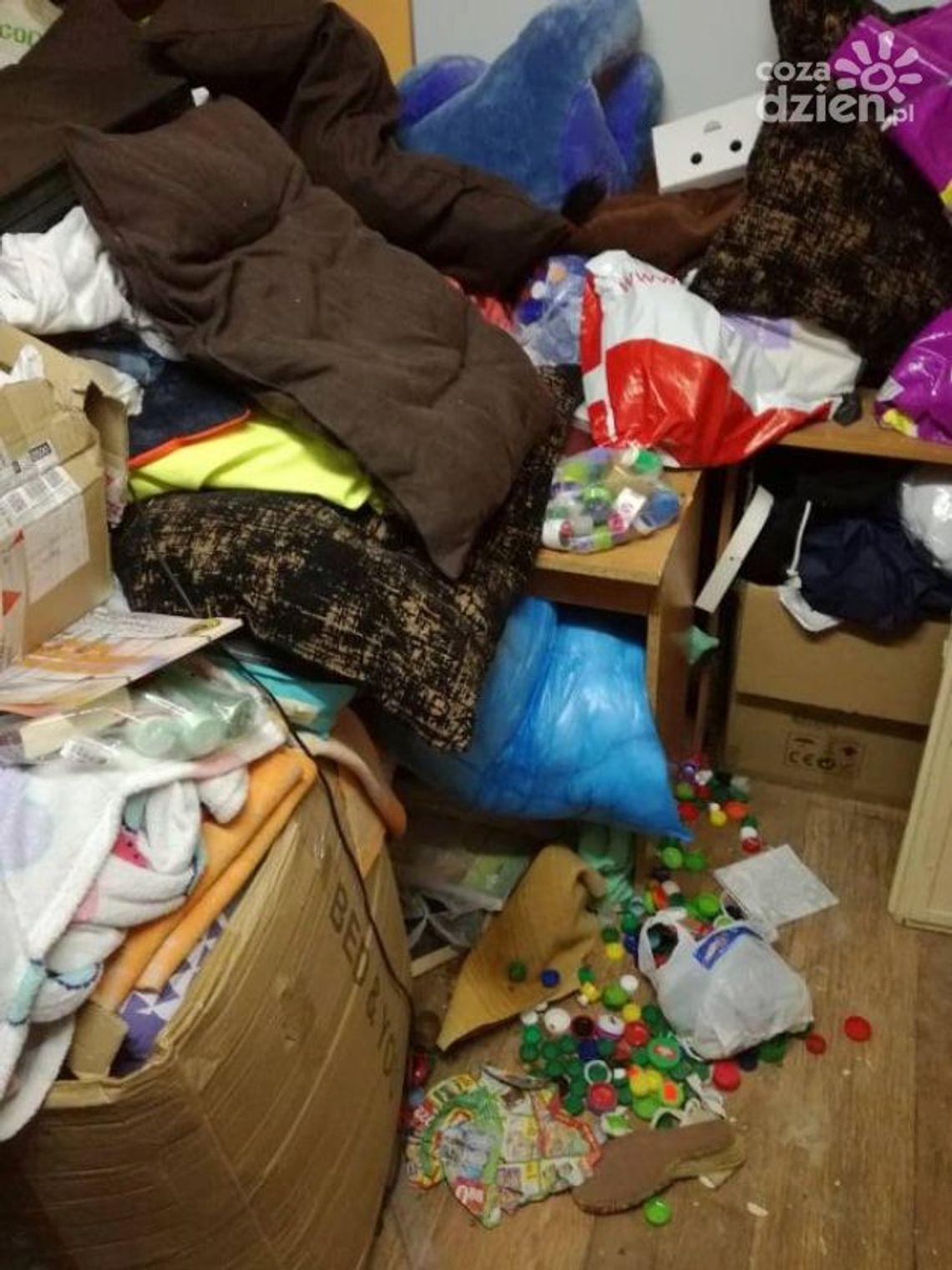 Połakomili się na karmę dla bezdomnych zwierząt Połakomili się na karmę dla bezdomnych zwierząt