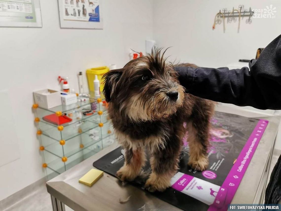 Policjant uratował porzuconego psiaka Policjant uratował porzuconego psiaka