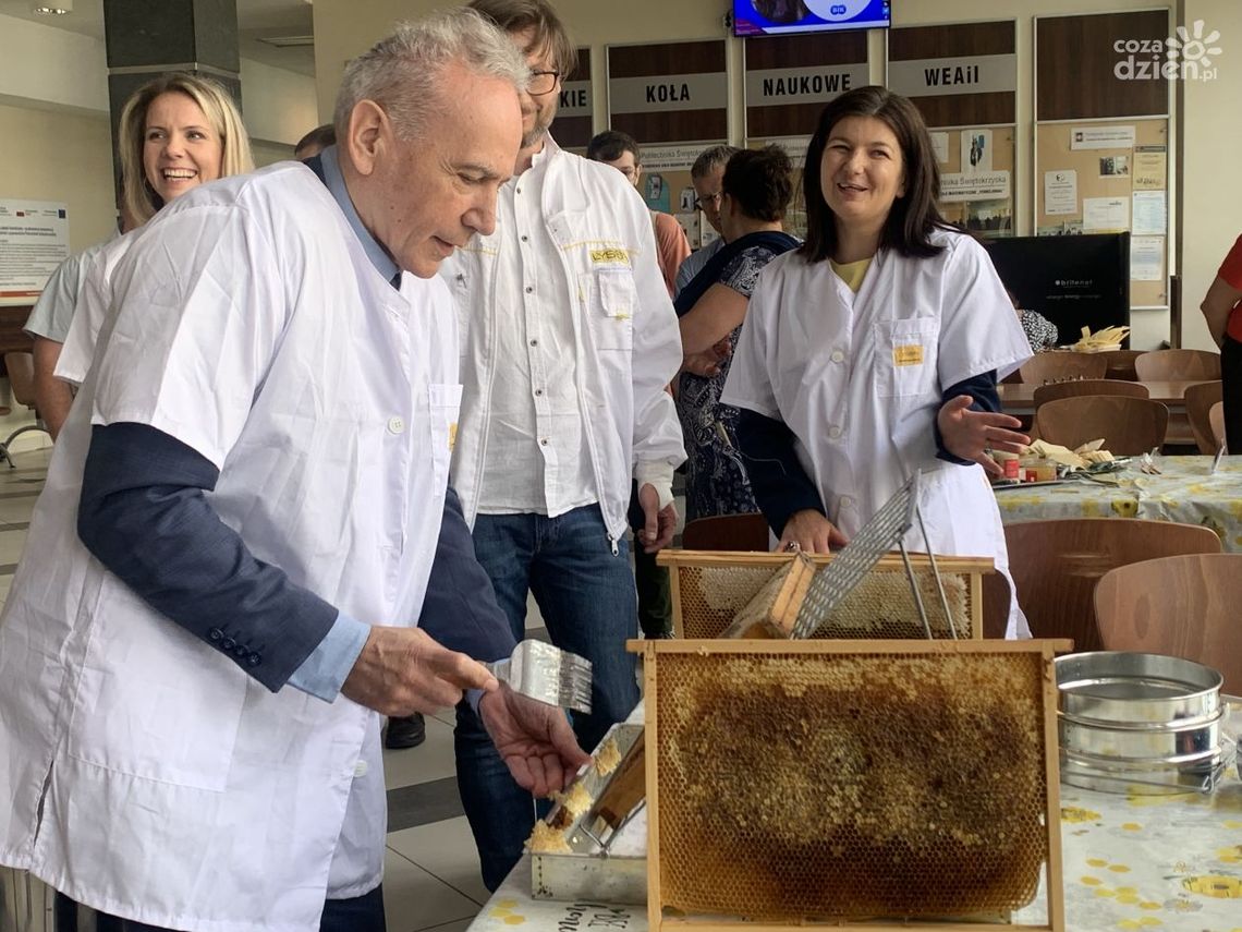 Polimiód gotowy do spożycia Polimiód gotowy do spożycia