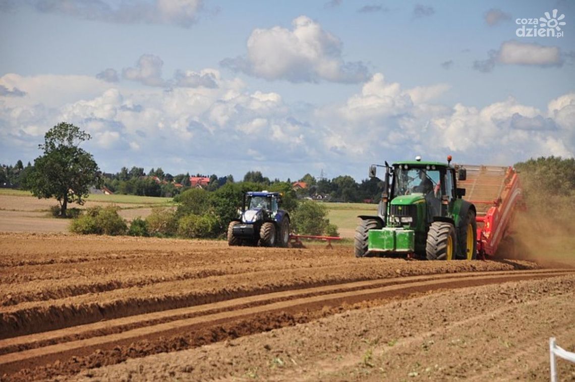 Polscy rolnicy między desperacją, a brakiem organizacji Polscy rolnicy między desperacją, a brakiem organizacji