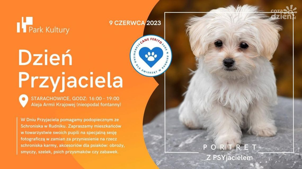 Pomoc dla czworonożnych przyjaciół Pomoc dla czworonożnych przyjaciół