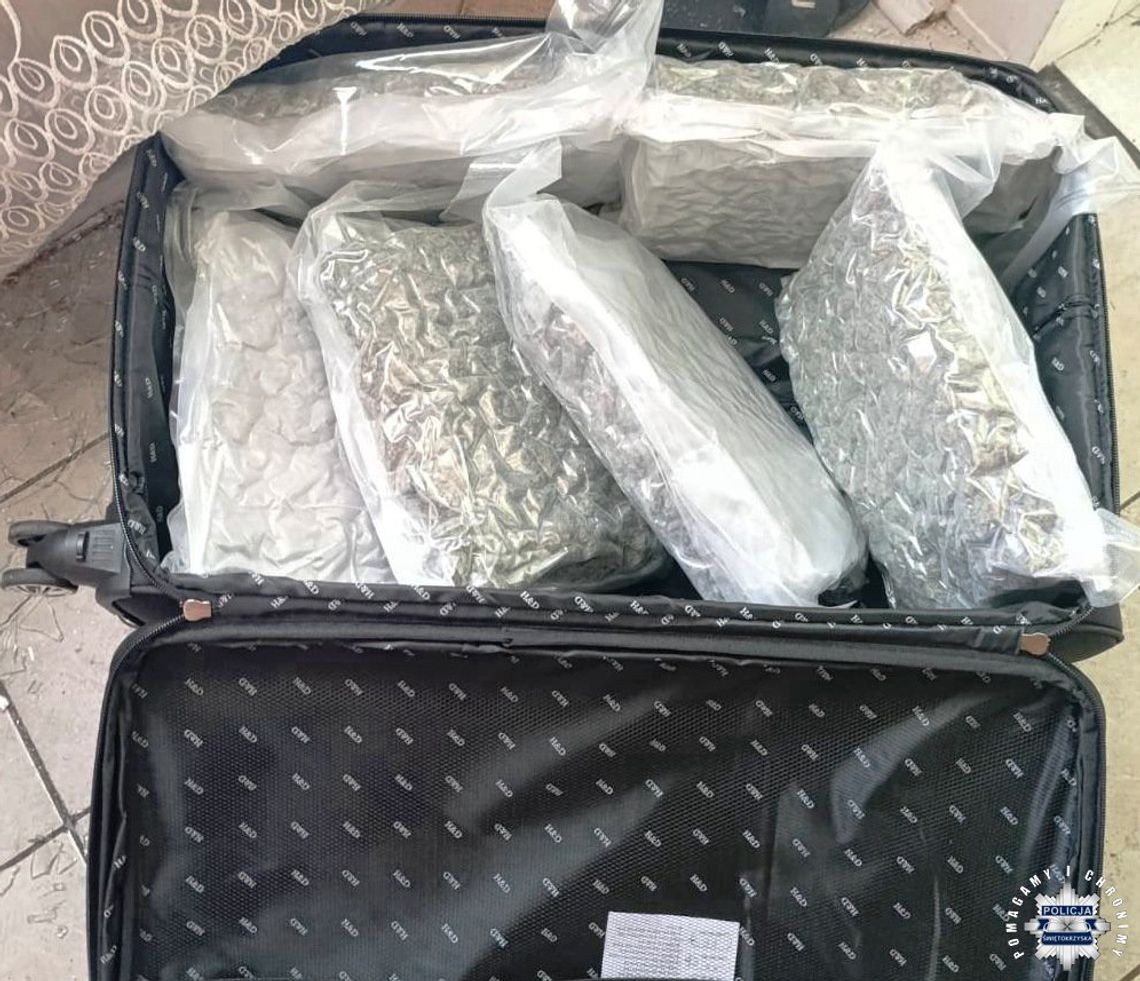 Ponad 22 kilogramy narkotyków zabezpieczone pod Kielcami. Dwóch 32-latków aresztowanych Ponad 22 kilogramy narkotyków zabezpieczone pod Kielcami. Dwóch 32-latków aresztowanych