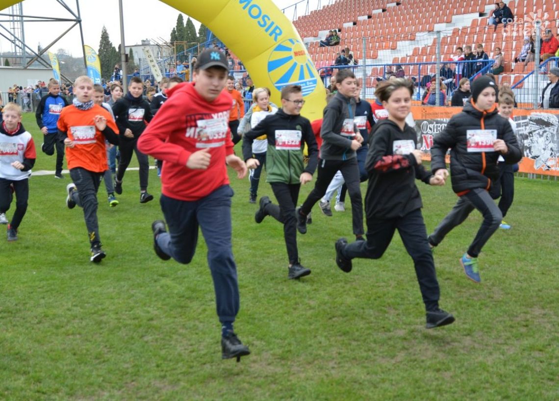 Ponad tysiąc osób wzięło udział w Ostrowieckich Biegach Niepodległości 2022