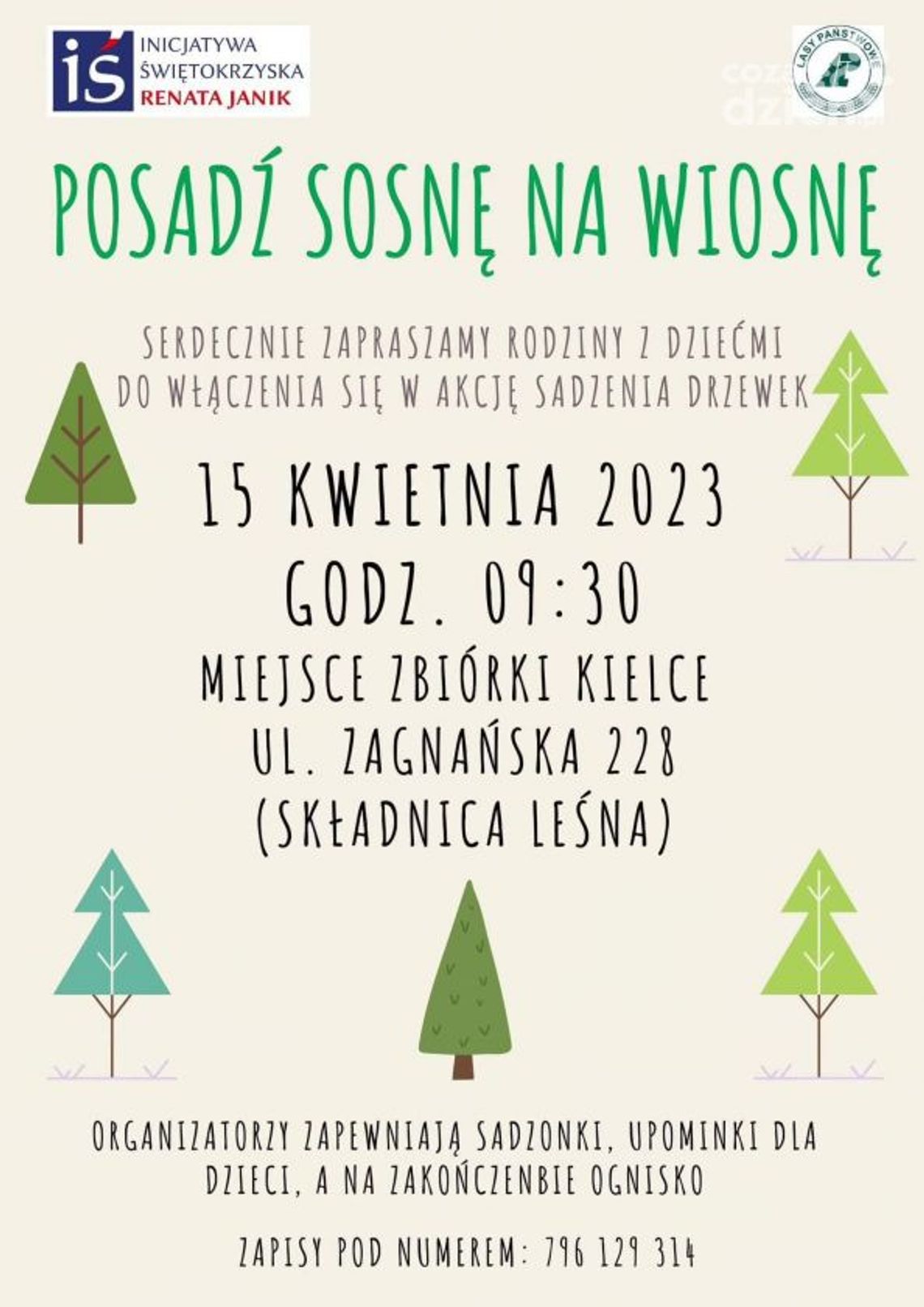 "Posadź sosnę na wiosnę" człowieku "Posadź sosnę na wiosnę" człowieku