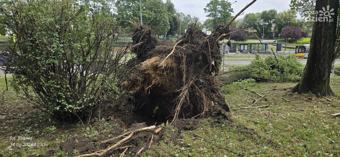 Potężna nawałnica w Kielcach i regionie. Dzień odsłania kolejne zniszczenia Potężna nawałnica w Kielcach i regionie. Dzień odsłania kolejne zniszczenia