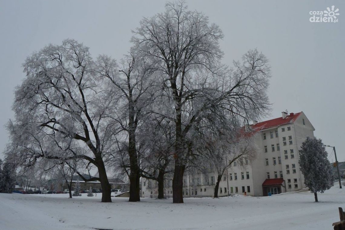 Powiat opatowski stawia na opiekę wytchnieniową Powiat opatowski stawia na opiekę wytchnieniową