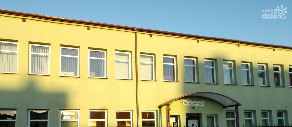 Powiatowy Urząd Pracy w Opatowie podsumowuje działania wokół Tarczy Antykryzysowej Powiatowy Urząd Pracy w Opatowie podsumowuje działania wokół Tarczy Antykryzysowej