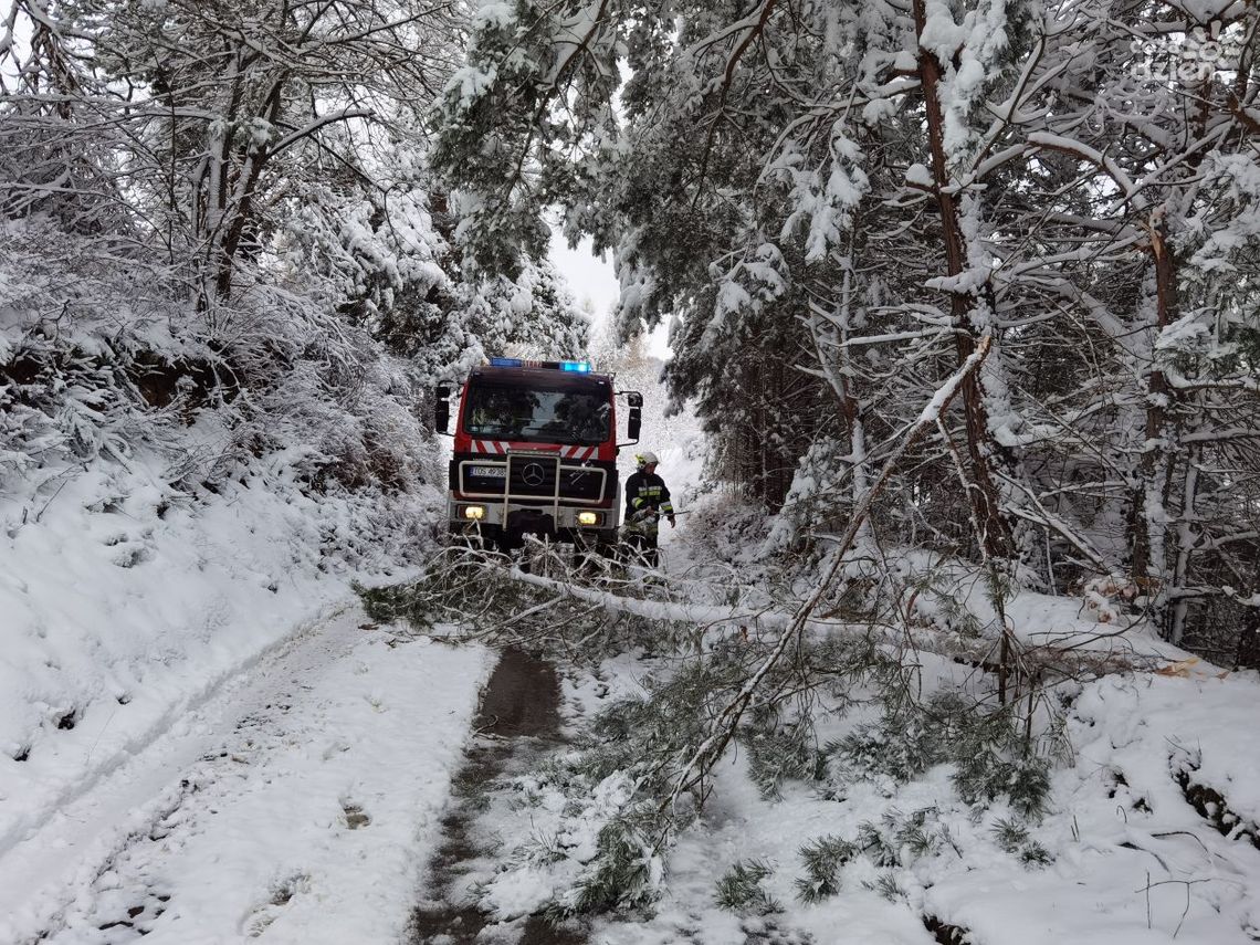 Powrót zimy - miejscami 20 cm śniegu Powrót zimy - miejscami 20 cm śniegu