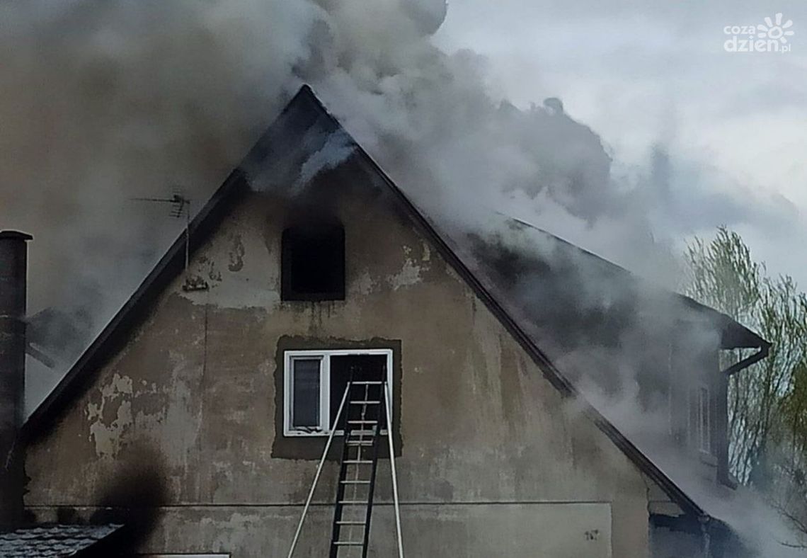 Pożar domu w Osieku. Uratowana kobieta i troje dzieci