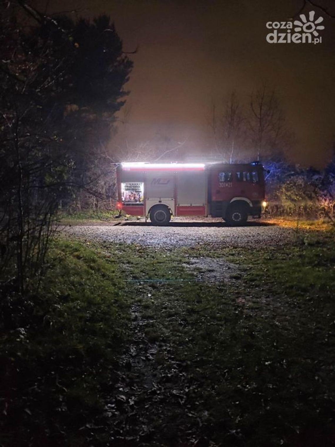 Pożar na kompleksie Ogródków Działkowych w Kielcach