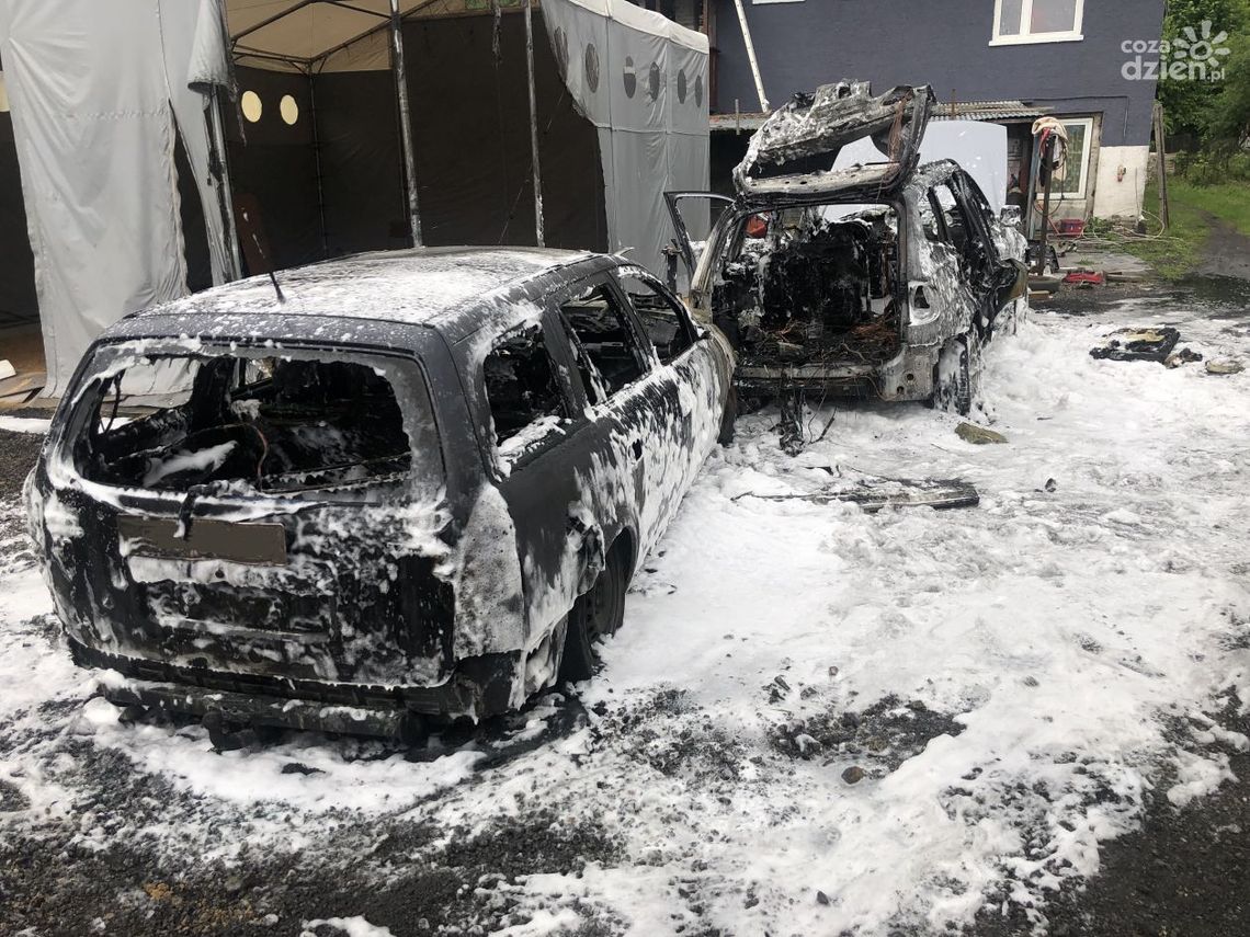 Pożar samochodów, mieszkania i powalone drzewa - to był pracowity weekend dla strażaków