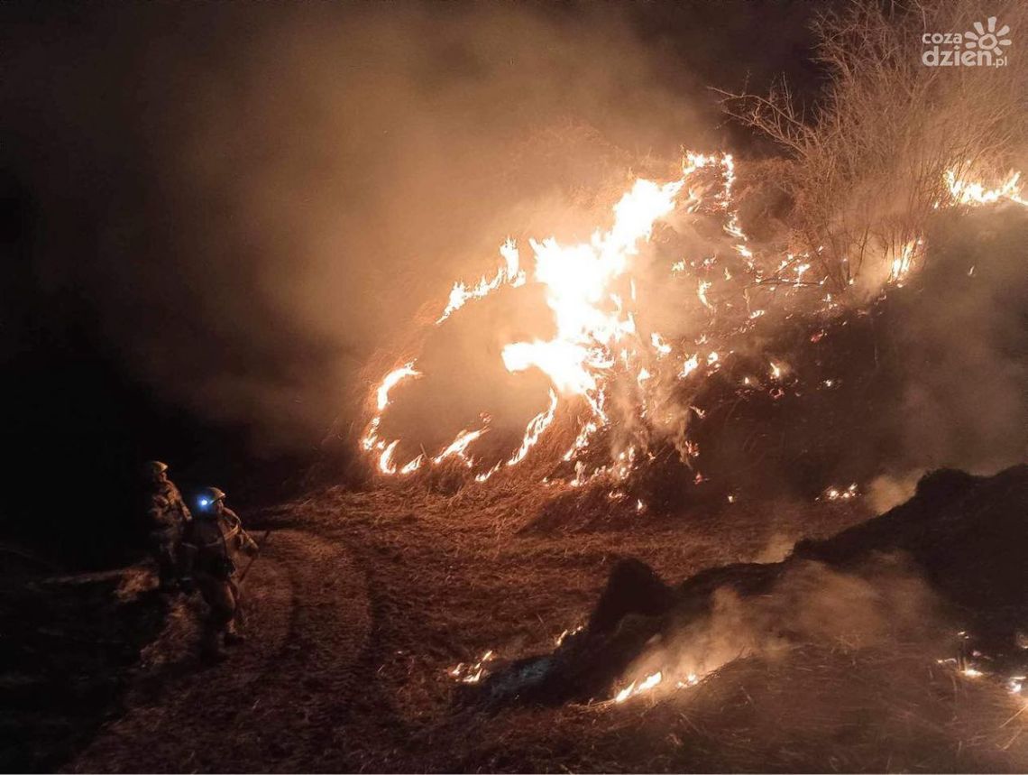 Pożary traw niszczą środowisko i dobytek Pożary traw niszczą środowisko i dobytek