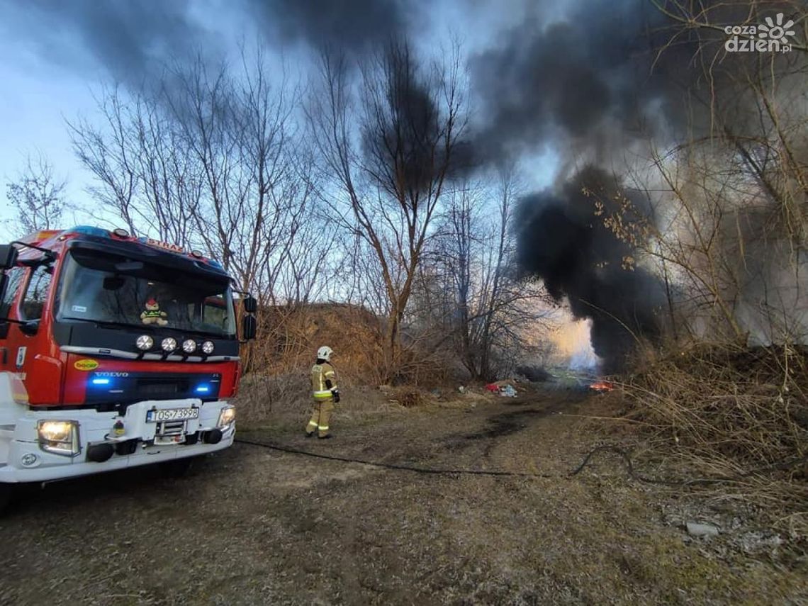 Pożary traw pustoszą nasze środowisko Pożary traw pustoszą nasze środowisko