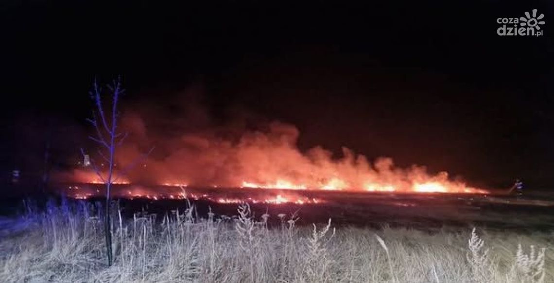 Pożary traw wciąż problemem w Świętokrzyskiem Pożary traw wciąż problemem w Świętokrzyskiem