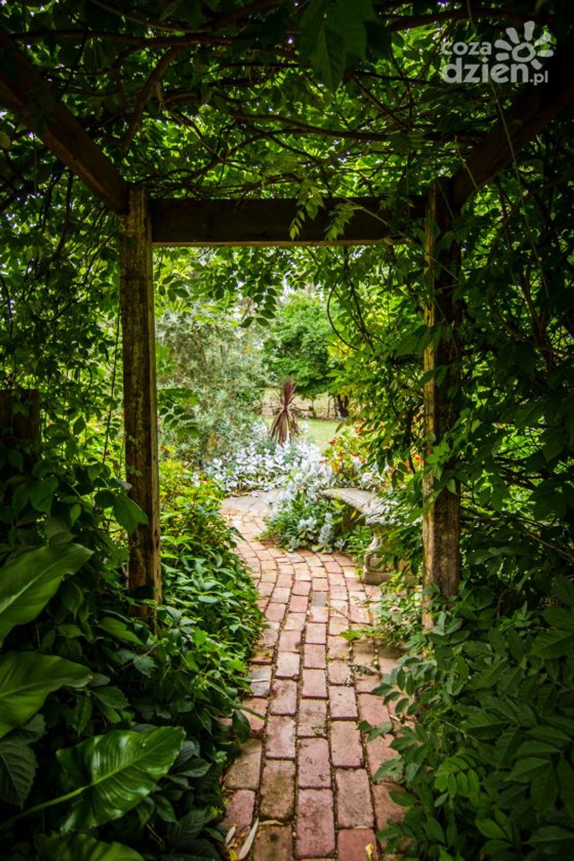 Prace ogrodowe to już nie problem Prace ogrodowe to już nie problem