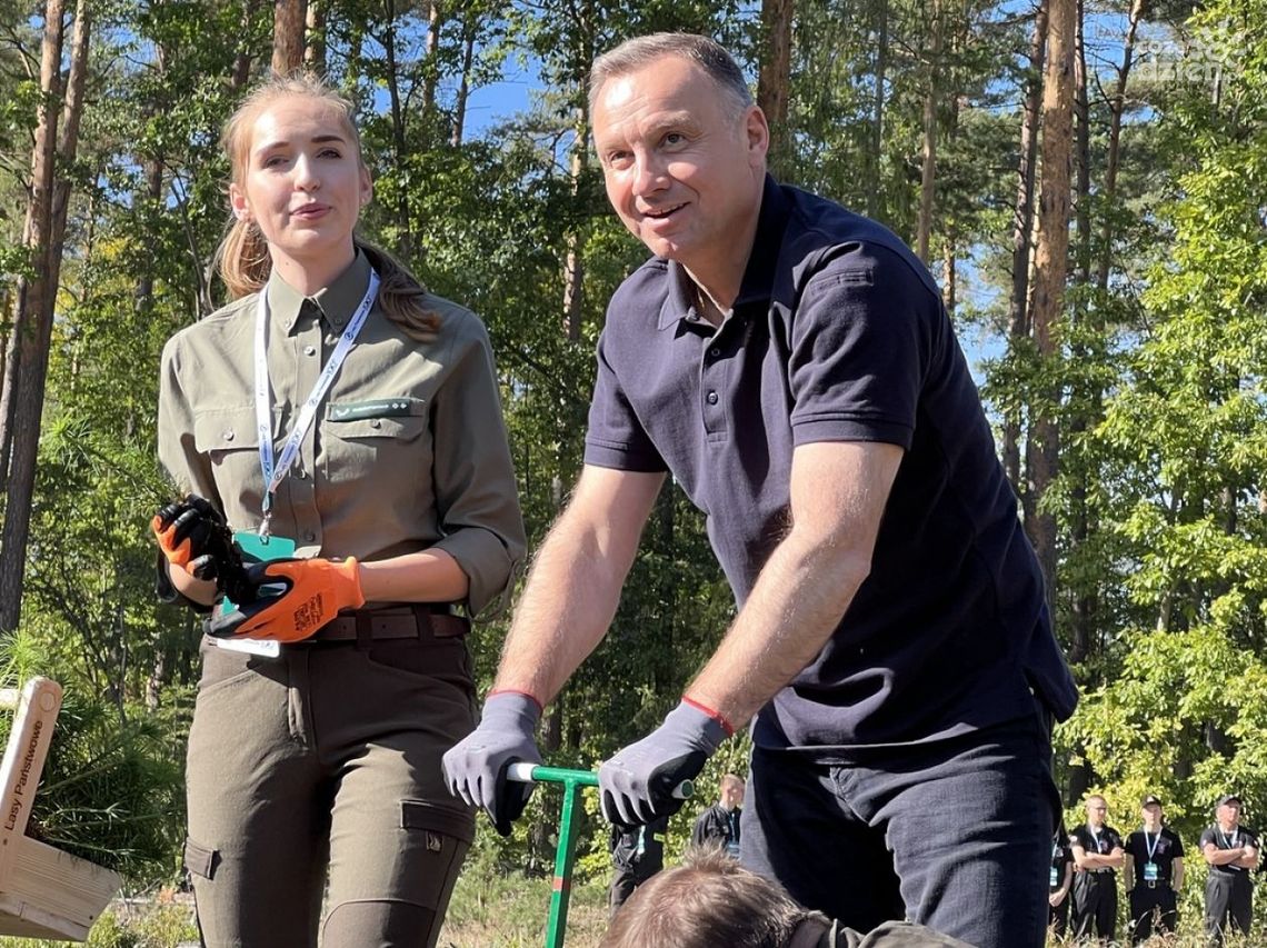 Prezydent Andrzej Duda sadził sosny w Suchedniowie Prezydent Andrzej Duda sadził sosny w Suchedniowie