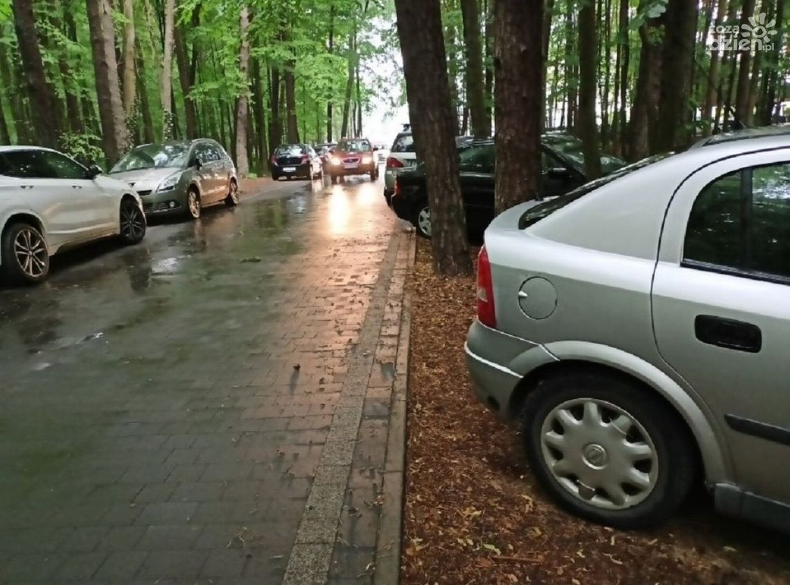 Problem z parkowaniem w kieleckim lesie komunalnym. Straż Miejska nadal podejmuje mnóstwo interwencji Problem z parkowaniem w kieleckim lesie komunalnym. Straż Miejska nadal podejmuje mnóstwo interwencji