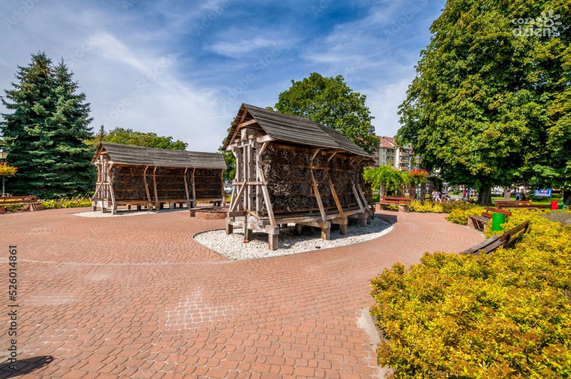 Problemy w realizacją jednego z projektów ostrowieckiego Budżetu Obywatelskiego Problemy w realizacją jednego z projektów ostrowieckiego Budżetu Obywatelskiego