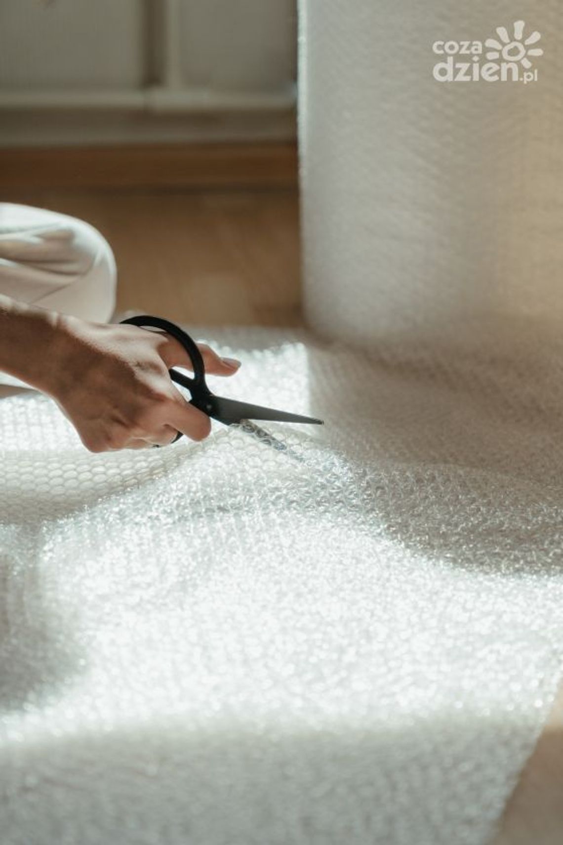 Producenci dbają o dobre imię folii bąbelkowej! Producenci dbają o dobre imię folii bąbelkowej!