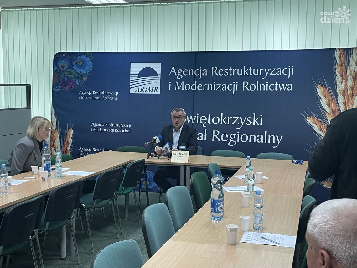 Producenci kukurydzy otrzymają rekompensaty Producenci kukurydzy otrzymają rekompensaty