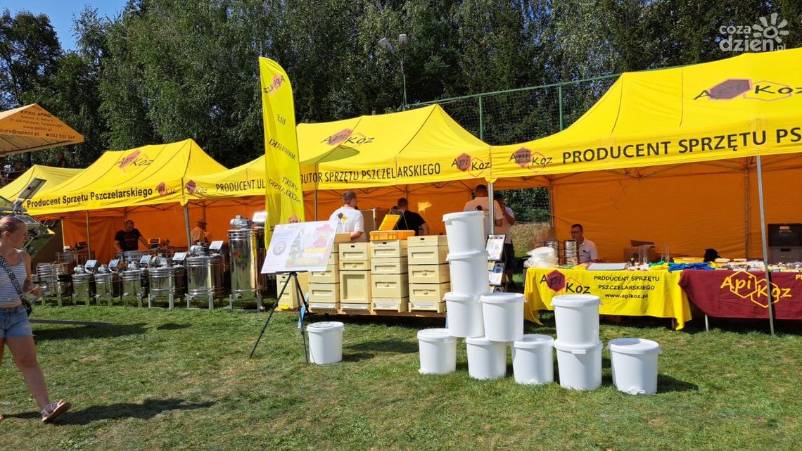 Producenci miodów i wielbiciele tego produktu już szykują się na Świętokrzyskie Święto Pszczoły Producenci miodów i wielbiciele tego produktu już szykują się na Świętokrzyskie Święto Pszczoły