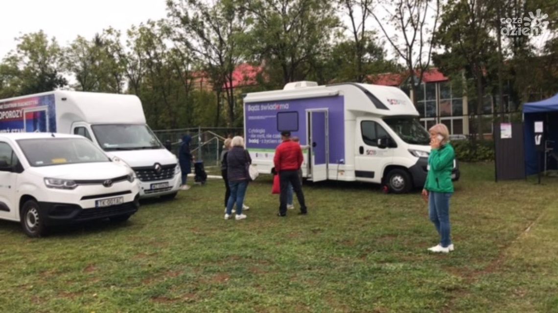 Profilaktyka na pikniku Profilaktyka na pikniku