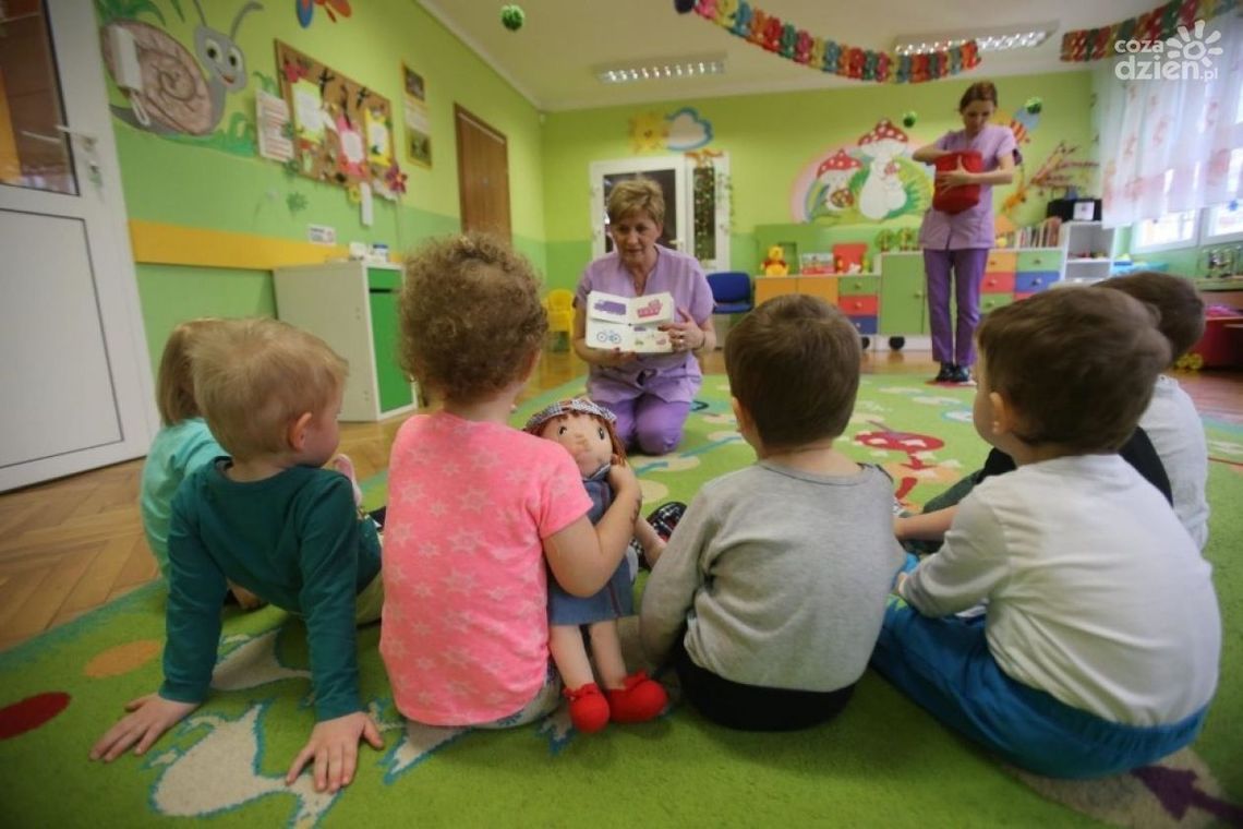 Program "Maluch +" 2020 Program "Maluch +" 2020