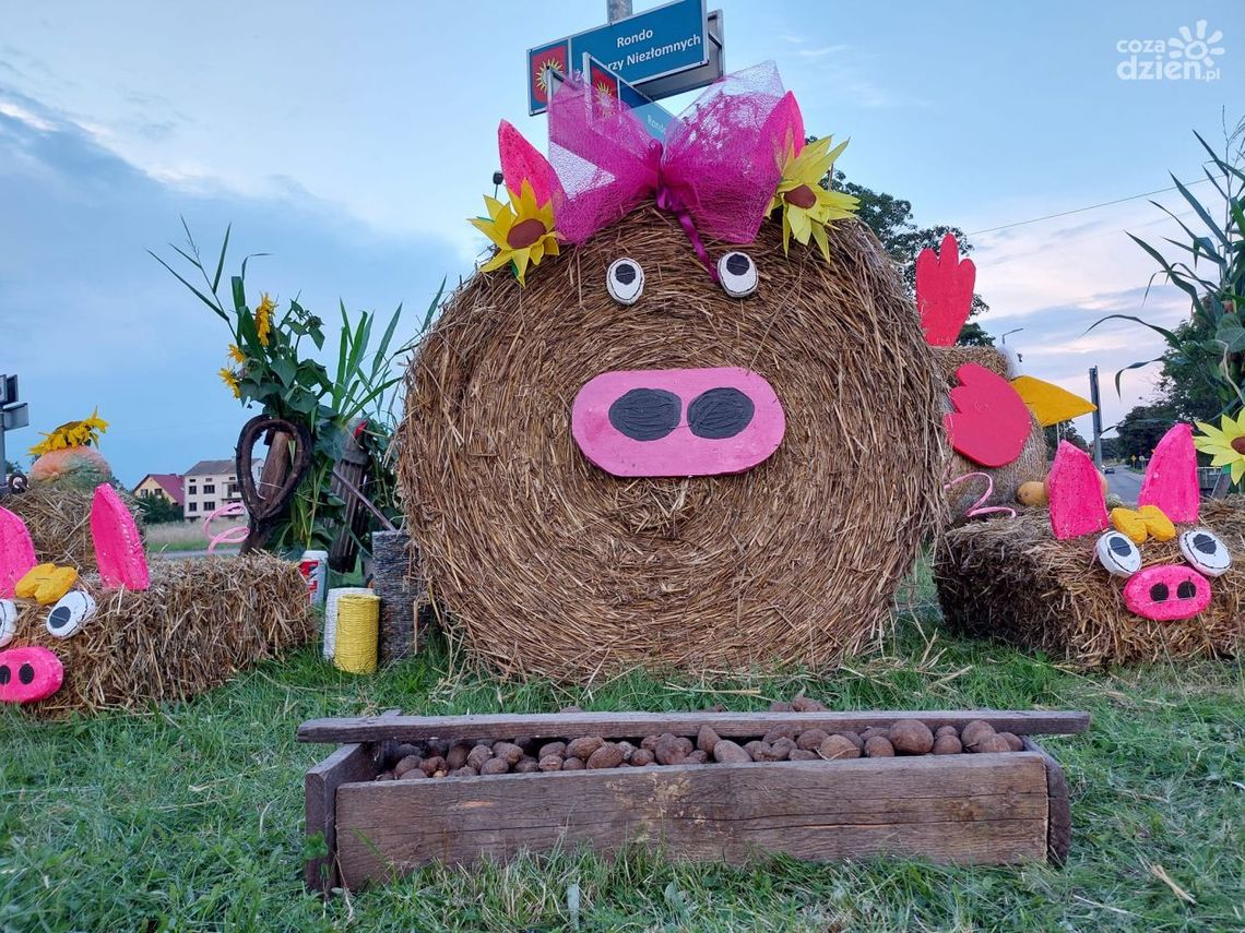Prosiaki, kury i chłopi Prosiaki, kury i chłopi
