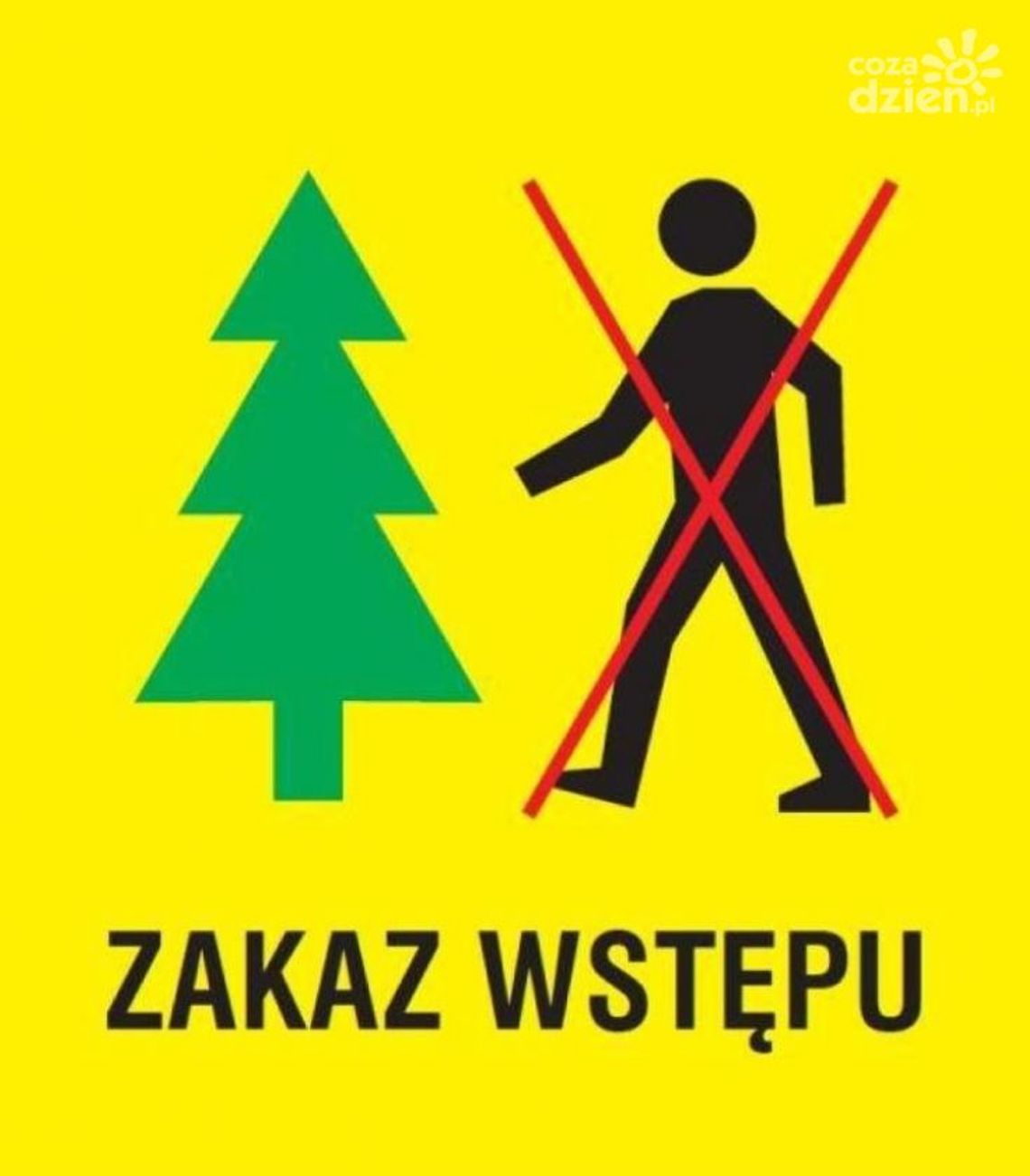Przedłużony zakaz wstępu do lasów Przedłużony zakaz wstępu do lasów