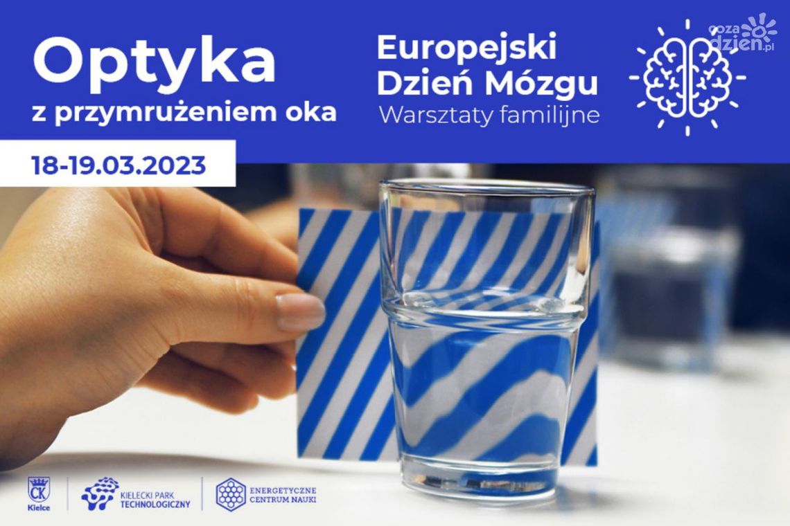 Przekonaj się jak działa mózg Przekonaj się jak działa mózg