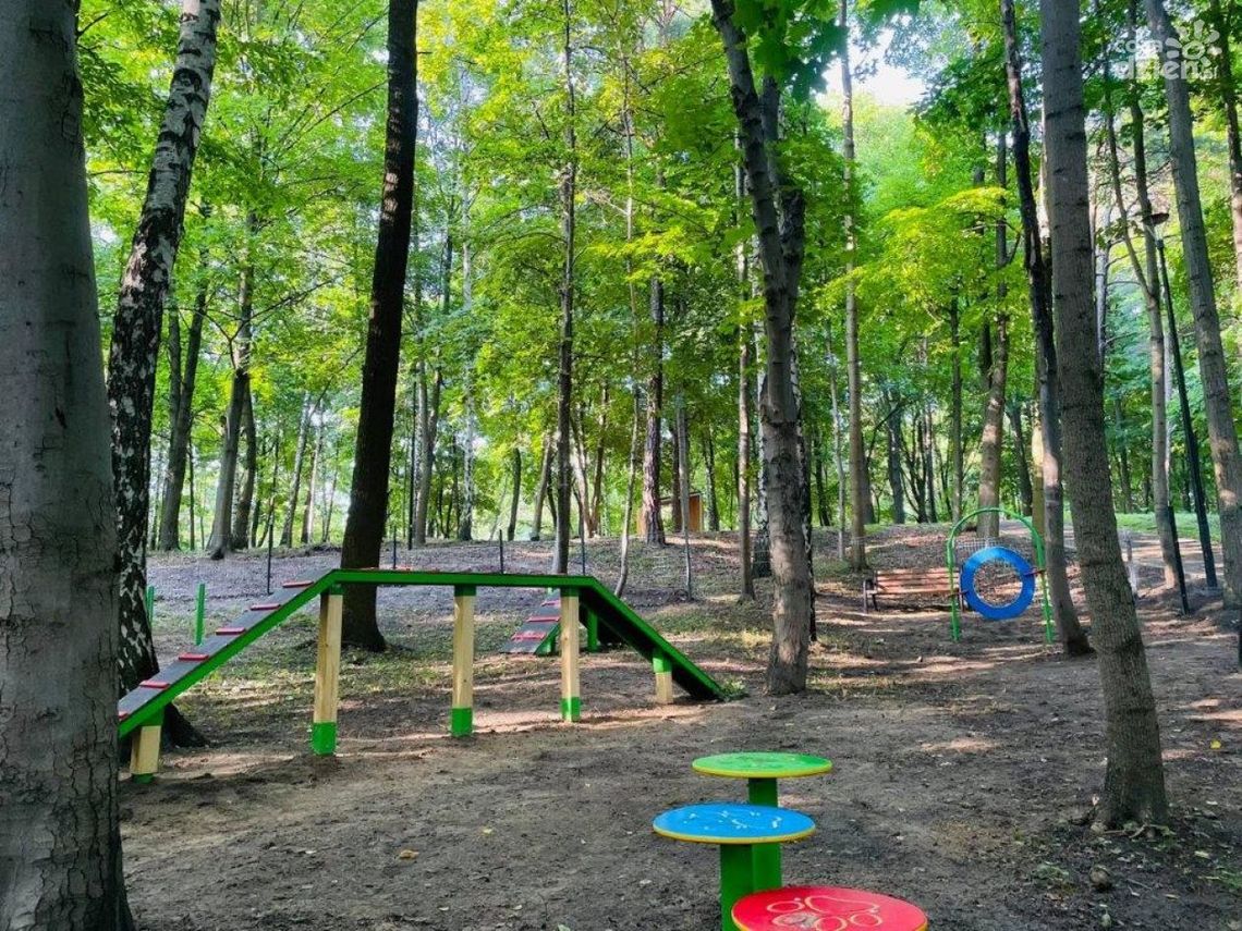 Przestrzeń przyjazna czworonogom