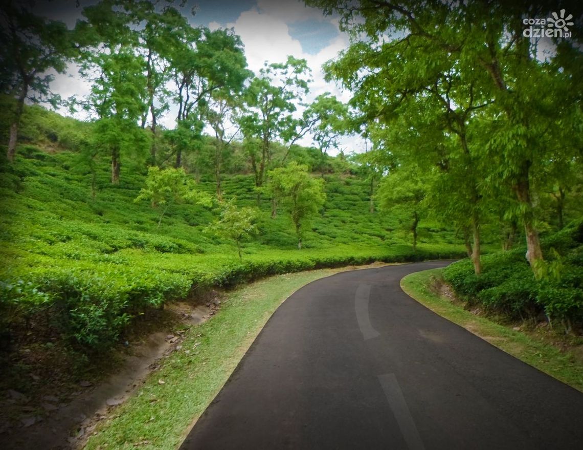 Przetarg na osuwającą się skarpę w Ćmielowie rozstrzygnięty Przetarg na osuwającą się skarpę w Ćmielowie rozstrzygnięty