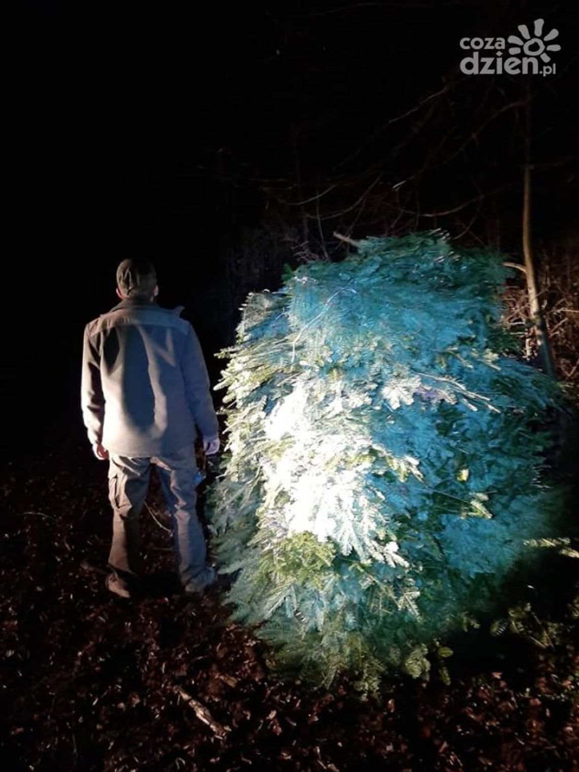 Przyłapani na gorącym uczynku Przyłapani na gorącym uczynku