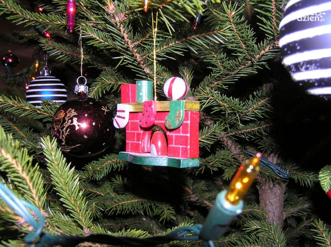 Przynieś nakrętki lub zaśpiewaj kolędę i zgarnij żywą choinkę 