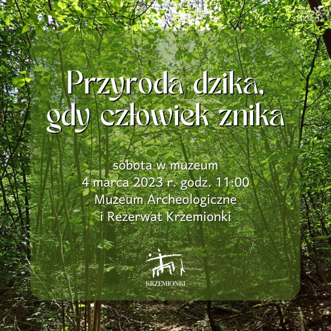 Przyroda dzika .... do zobaczenia w rezerwacie Krzemionki Przyroda dzika .... do zobaczenia w rezerwacie Krzemionki