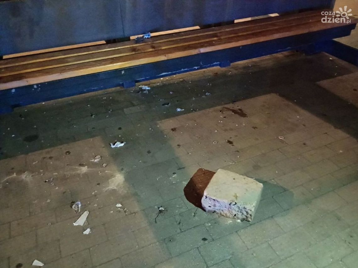 Przystankowy wandal Przystankowy wandal