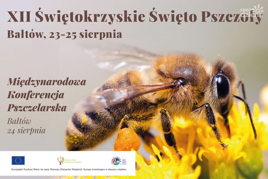 Pszczelarze zjadą do Bałtowa Pszczelarze zjadą do Bałtowa