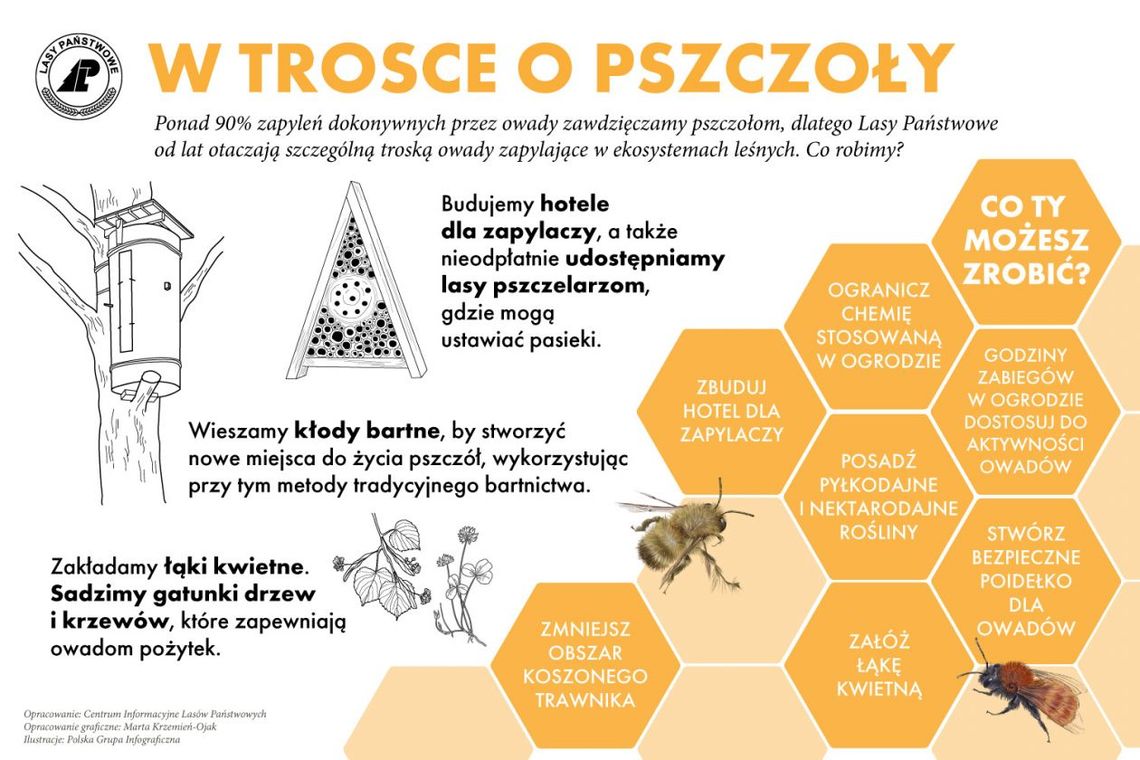 Pszczoły dbają o rośliny, my zadbajmy o pszczoły Pszczoły dbają o rośliny, my zadbajmy o pszczoły