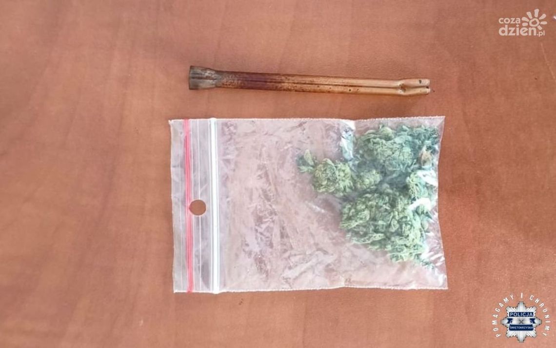 Radoszyce. 35-latek zatrzymany z marihuaną i po alkoholu