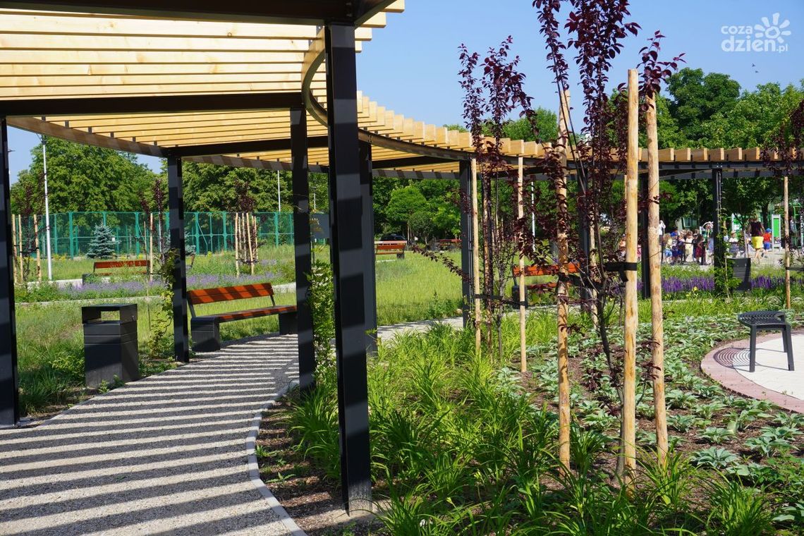 Raj dla zmysłów w ogrodzie zdrowia na Ogrodach Raj dla zmysłów w ogrodzie zdrowia na Ogrodach