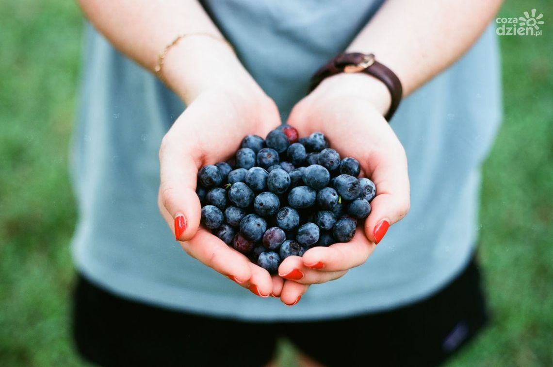 Ręce, które trzeba leczyć