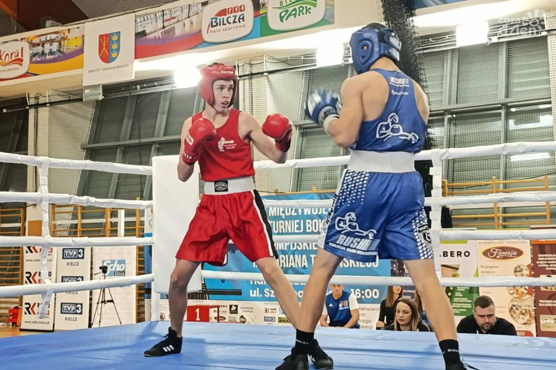 Ręce pełne roboty - pracowity okres Bokserów z Wiśniówki Ręce pełne roboty - pracowity okres Bokserów z Wiśniówki