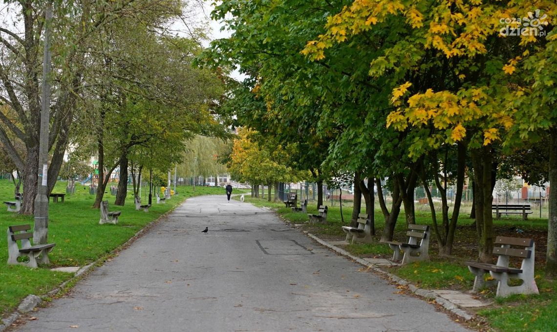 Rewitalizacja „Broadwaya” na Osiedlu Świętokrzyskim – podpisano umowę na dokumentację projektową Rewitalizacja „Broadwaya” na Osiedlu Świętokrzyskim – podpisano umowę na dokumentację projektową