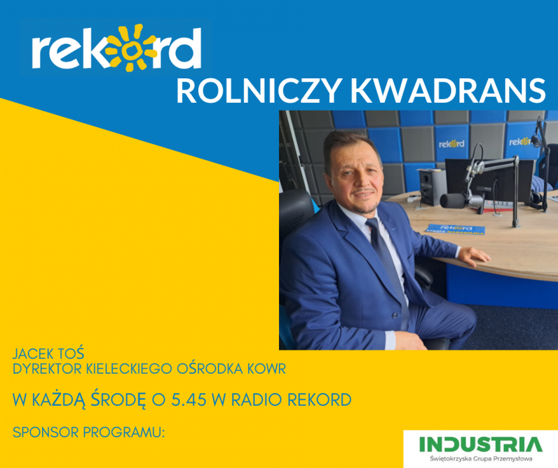 Rolniczy Kwadrans: Konflikt na Ukrainie przełożył się ceny zbóż