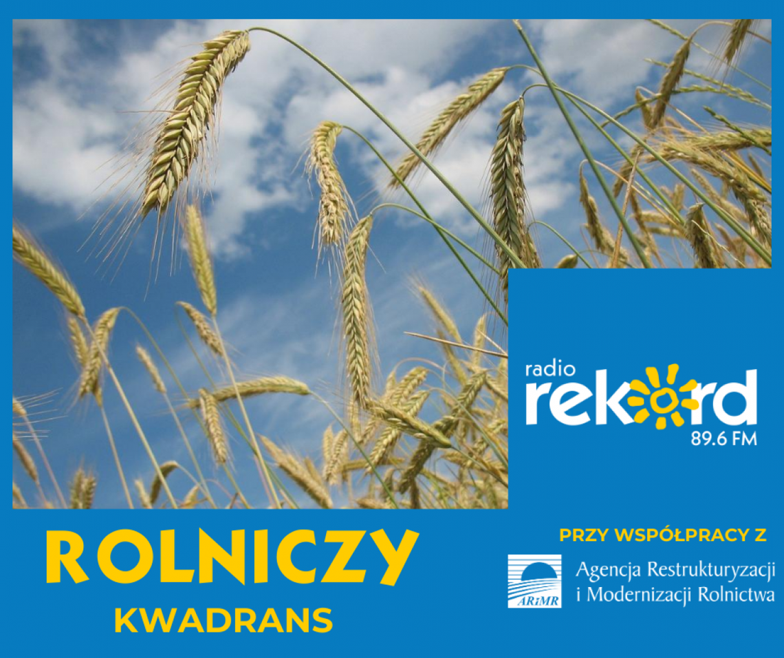 "Rolniczy kwadrans" - restrukturyzacja małych gospodarstw "Rolniczy kwadrans" - restrukturyzacja małych gospodarstw