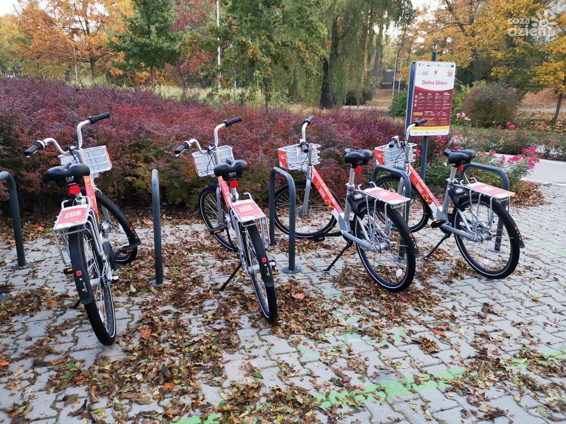 Rower Miejski w Pińczowie Rower Miejski w Pińczowie