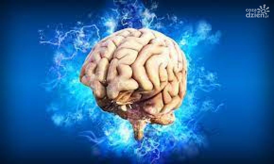 Rozpoczął się Tydzień Mózgu Rozpoczął się Tydzień Mózgu
